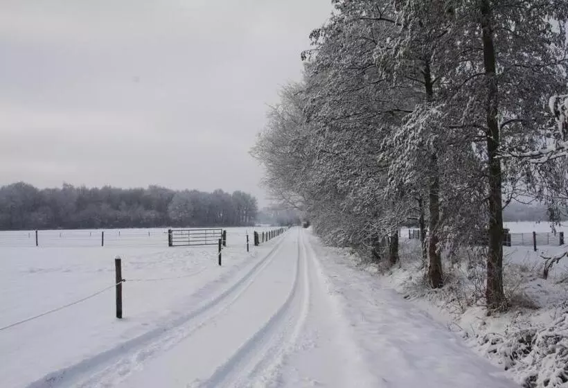 ベッドアンドブレックファースト De Aze