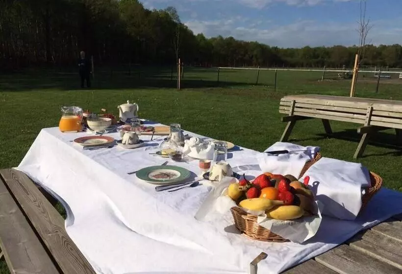 ベッドアンドブレックファースト De Aze