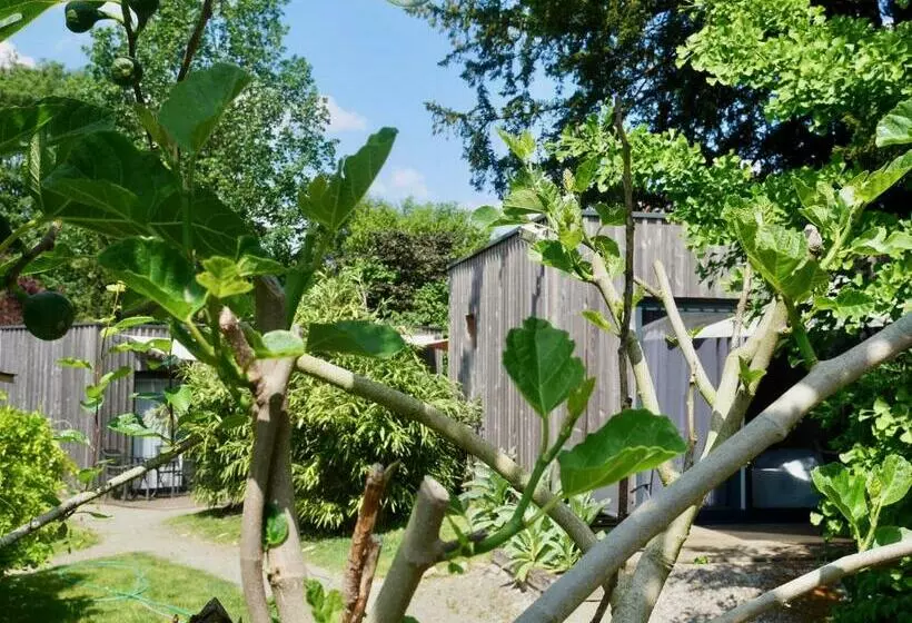 تختخواب و صبحانه Les Cabanes De Do