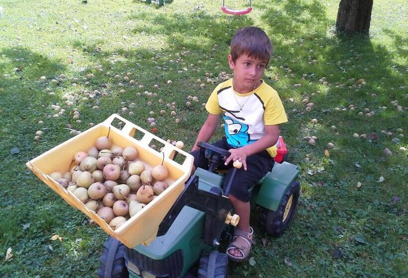 Hotel Berghof Thurnergut