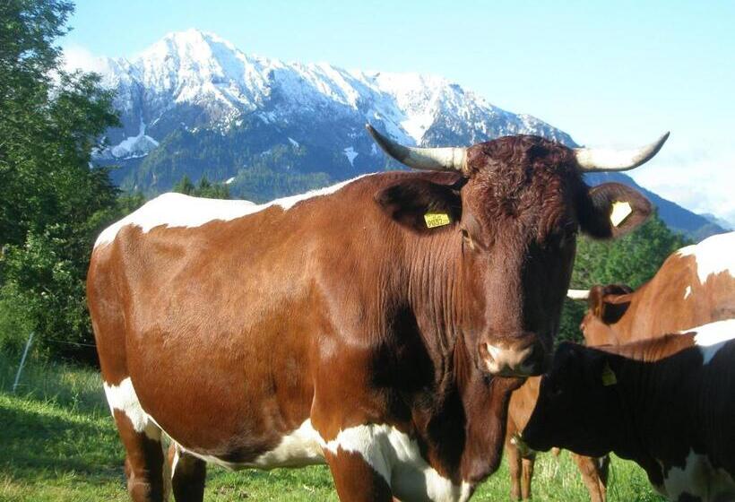 Hotel Berghof Thurnergut