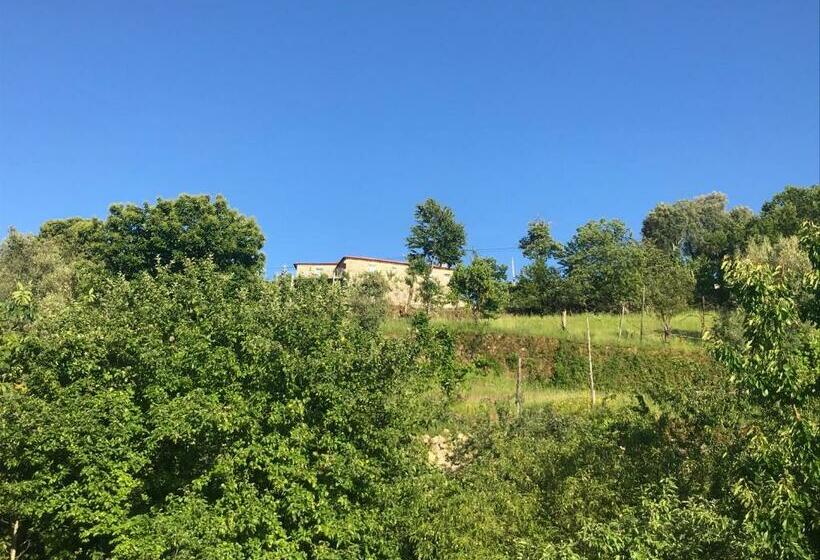 호텔 Casa Da Choqueira