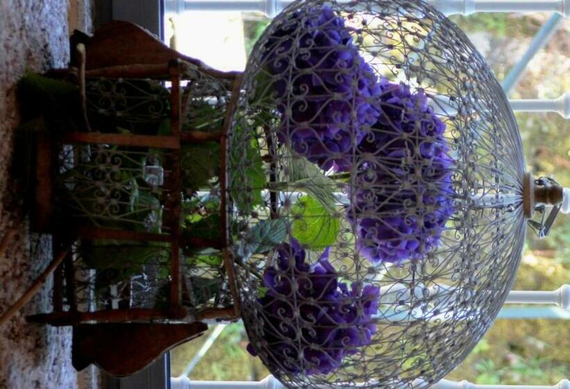 호텔 Casa Da Choqueira