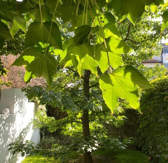 پانسیون Casa 45 Porto