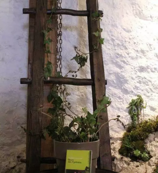 Majatalo L Oustal De L Annetta Chambres Et Tables D Hôtes