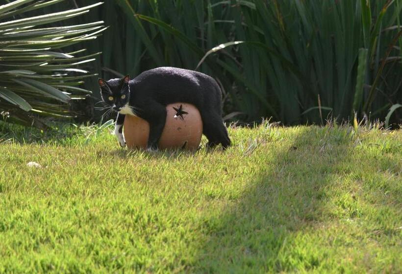 פנסיון Pousada Encanto Da Bocaina   Serra Da Bocaina