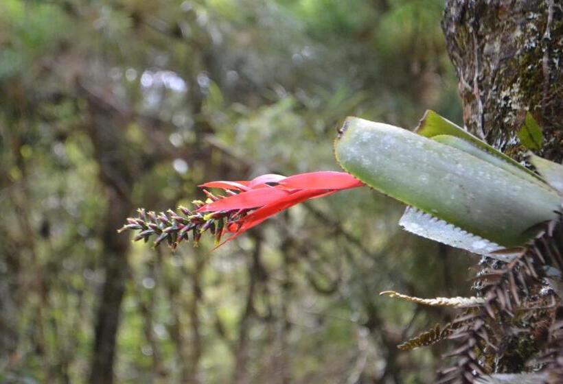 פנסיון Pousada Encanto Da Bocaina   Serra Da Bocaina