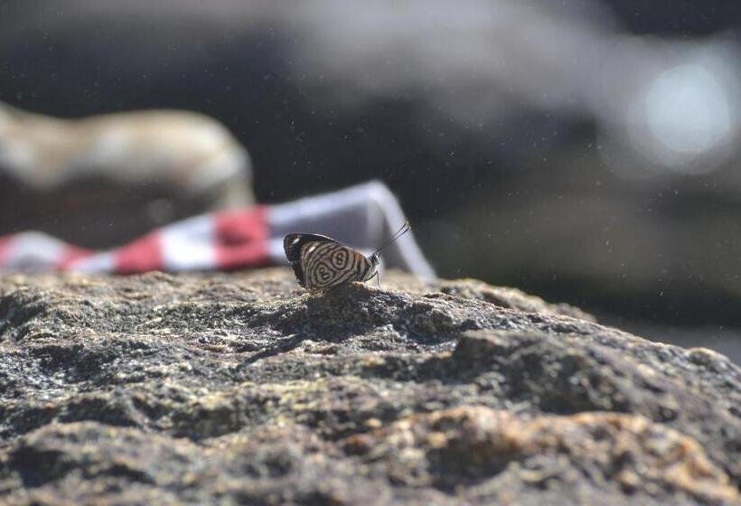 פנסיון Pousada Encanto Da Bocaina   Serra Da Bocaina