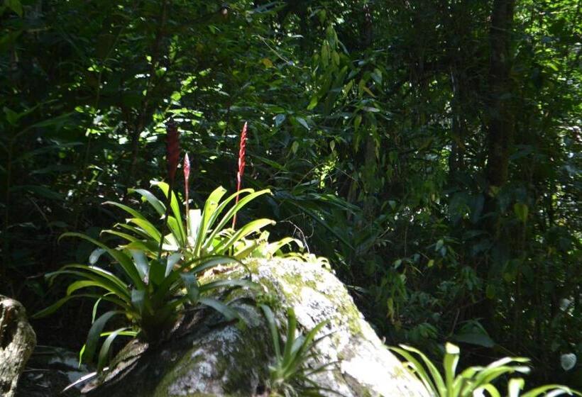פנסיון Pousada Encanto Da Bocaina   Serra Da Bocaina