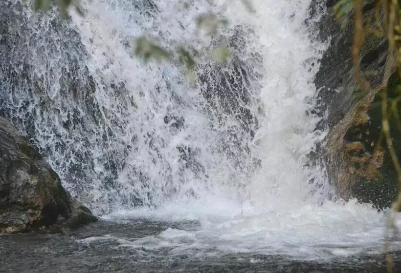 ペンション Pousada Encanto Da Bocaina   Serra Da Bocaina