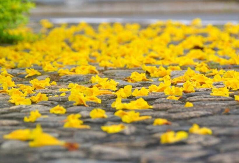 פנסיון Pousada Encanto Da Bocaina   Serra Da Bocaina