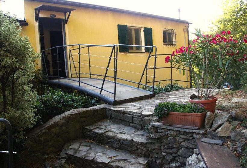 פנסיון Villa Maia