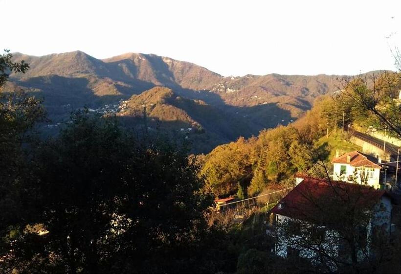 פנסיון Villa Maia