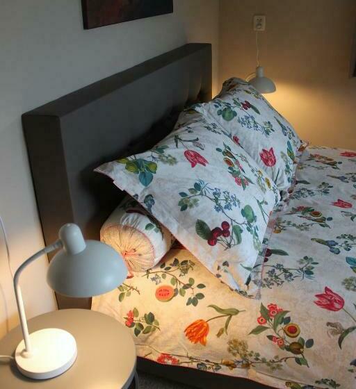 Bed and Breakfast De Galeriet Giethoorn