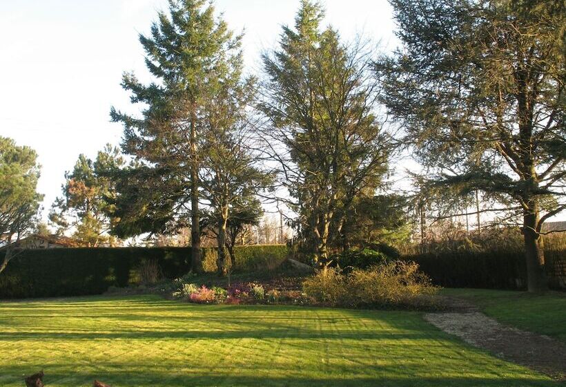 Bed and Breakfast Chambres D Hôtes Le Mûrier