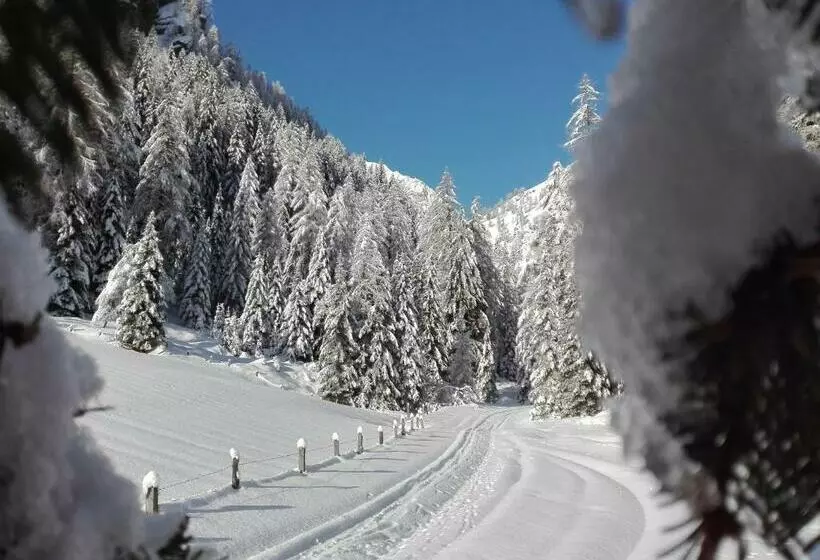 Aamiaismajoitus (B&B) Haus Pinter