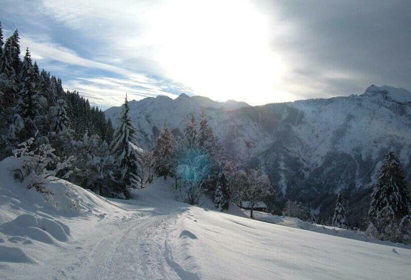 Bed and Breakfast Haus Pinter