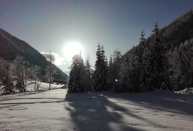 Bed and Breakfast Haus Pinter