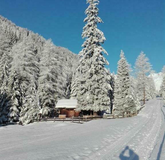 Bed and Breakfast Haus Pinter