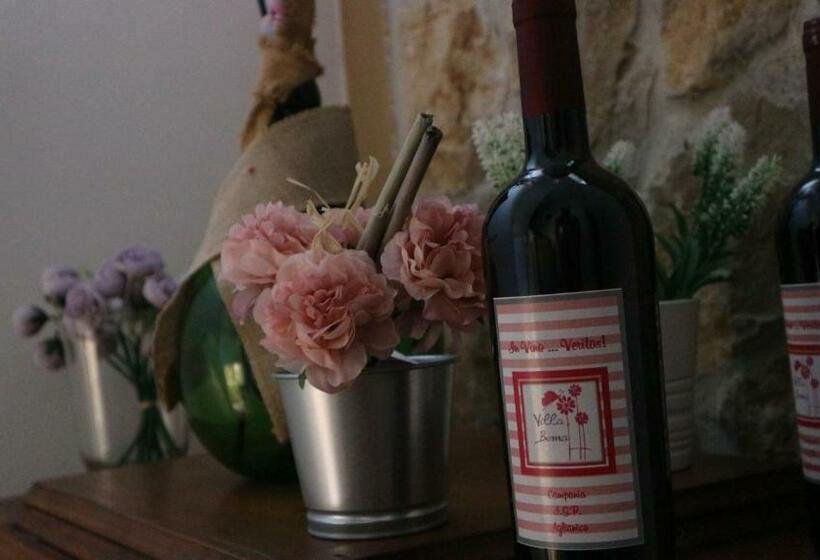 住宿加早餐 Villa Bema