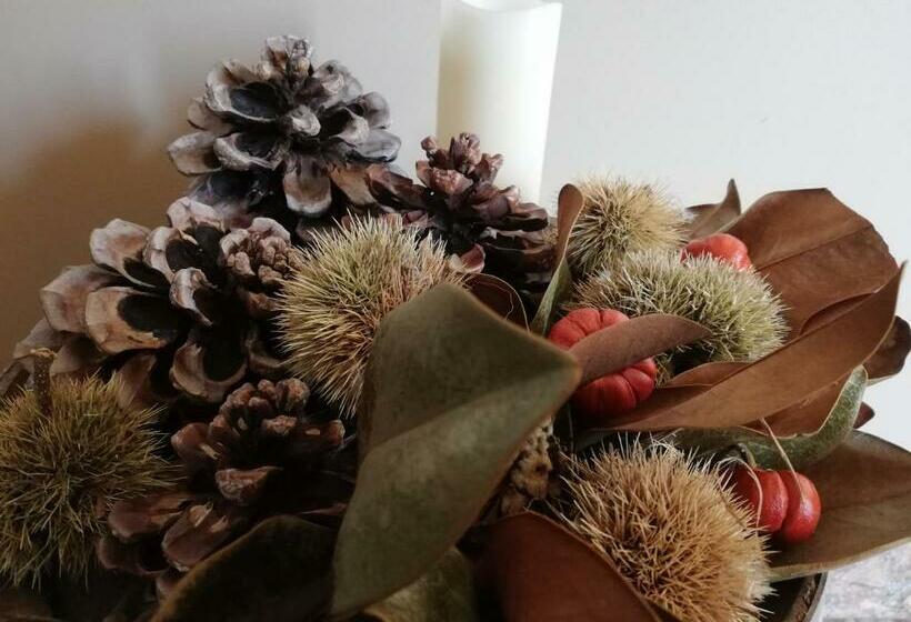 住宿加早餐 Villa Bema