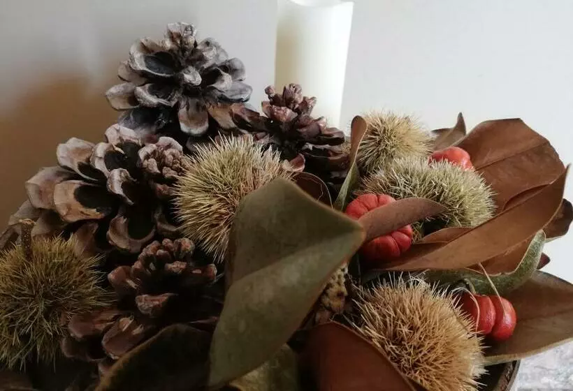 Aamiaismajoitus (B&B) Villa Bema