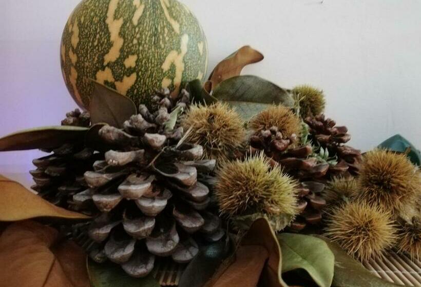 住宿加早餐 Villa Bema