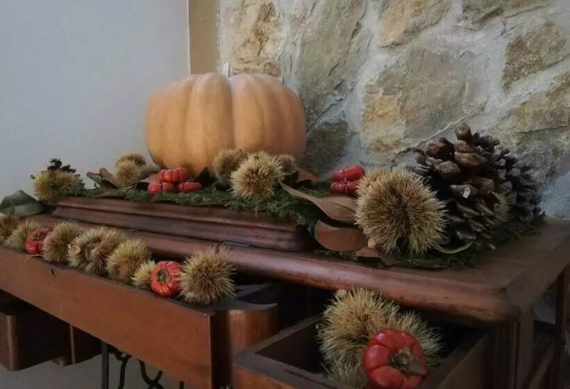 Aamiaismajoitus (B&B) Villa Bema