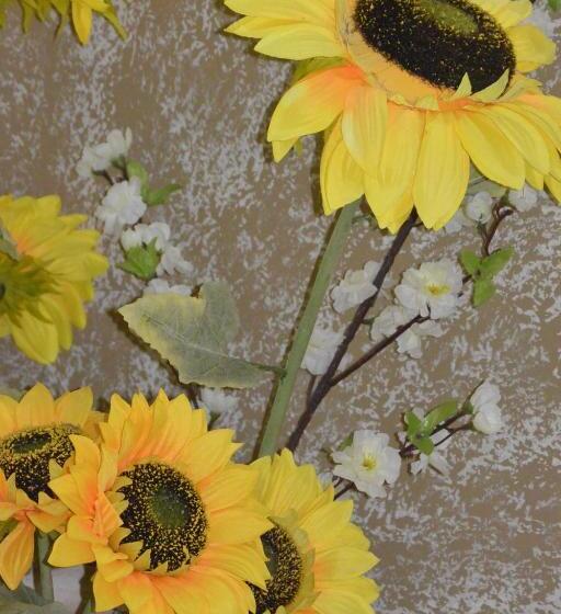 住宿加早餐 Villa Bema