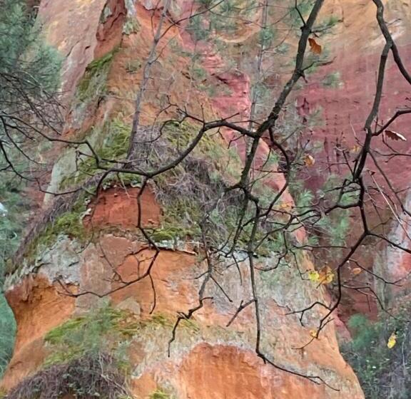 Bed and Breakfast Villa Des Roses