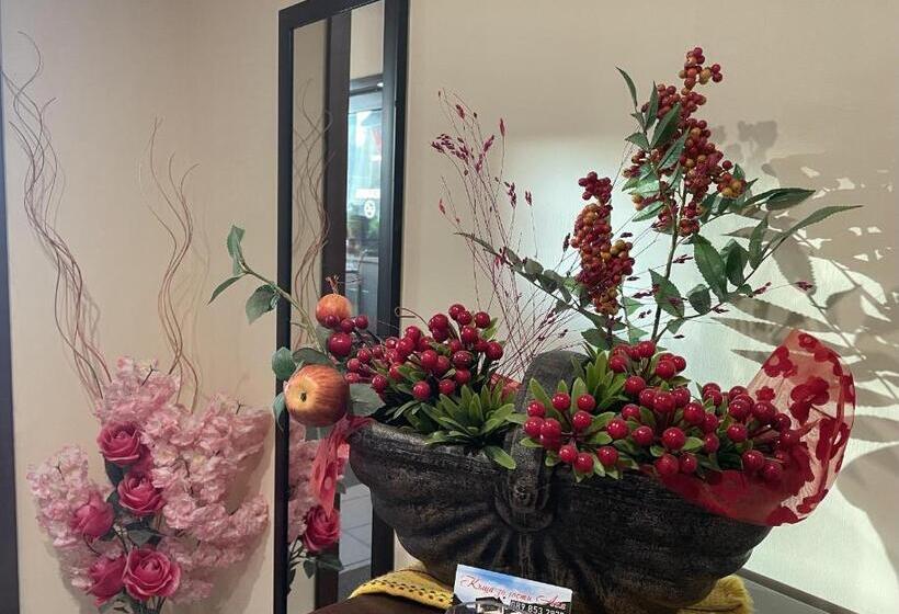 Pension Asya Guest House