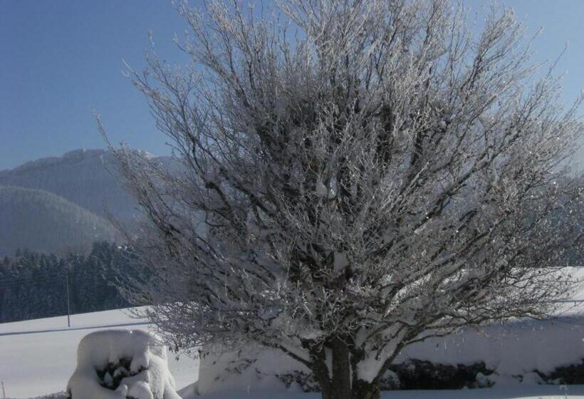 Пансион Appartement De Vacances Niederer