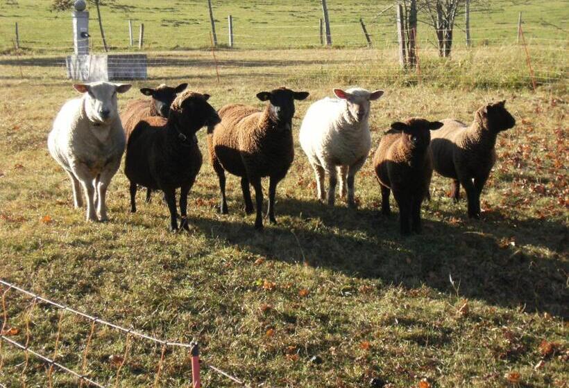 Пансион Appartement De Vacances Niederer