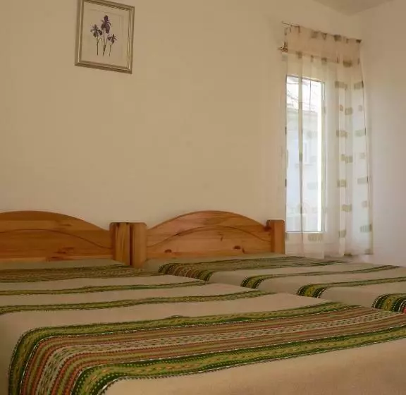 پانسیون Guest House Maija