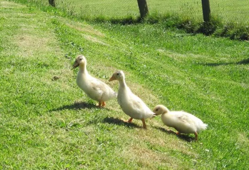 Majatalo Horsemanstone