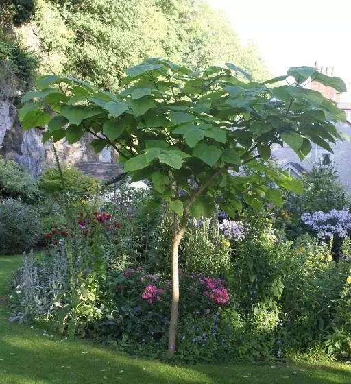 Aamiaismajoitus (B&B) Cascades Gardens