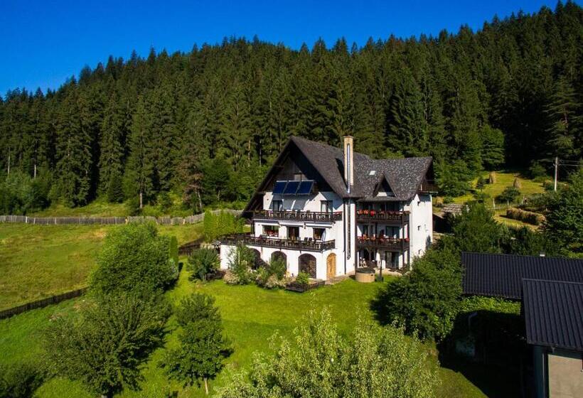 Bucovina Lodge Pension