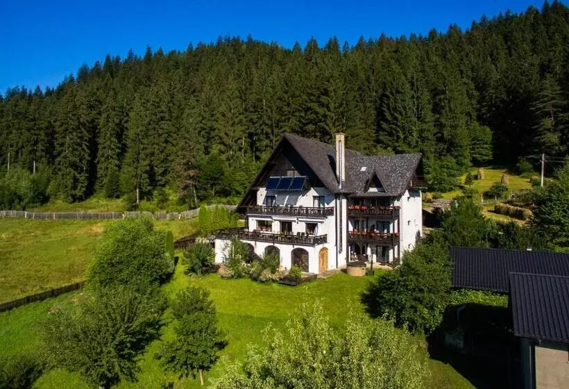 Bucovina Lodge Pension