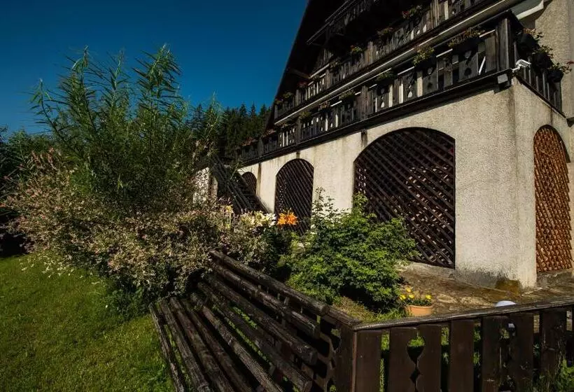 Bucovina Lodge Pension