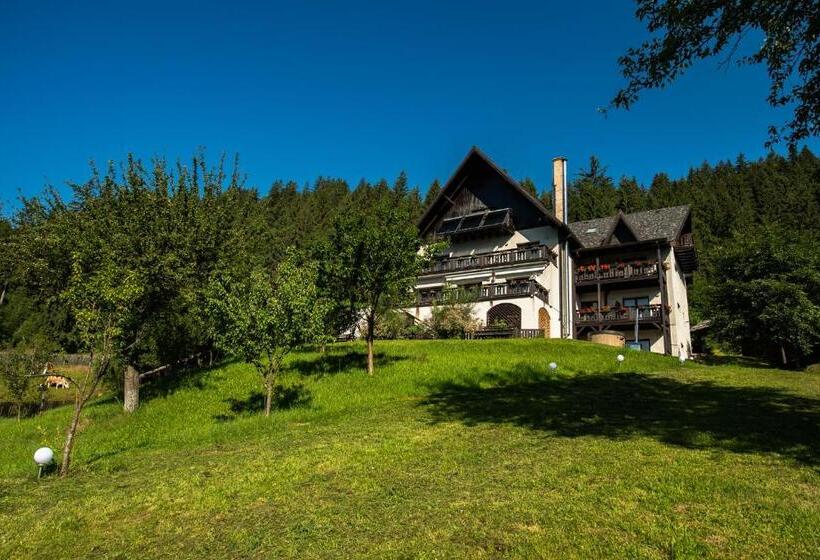 Bucovina Lodge Pension