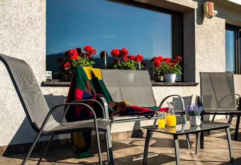 Bucovina Lodge Pension