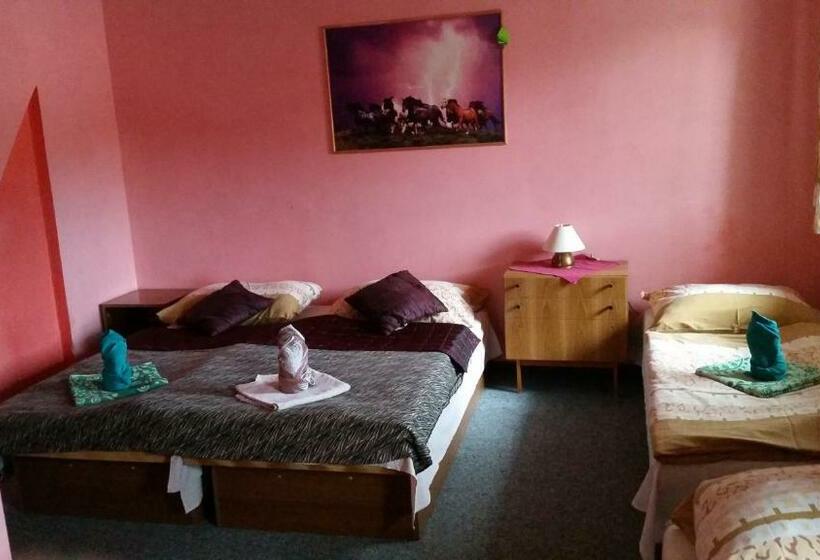 Отель Penzion Pegas Depoltovice