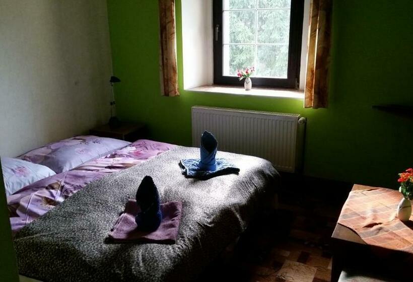 Отель Penzion Pegas Depoltovice