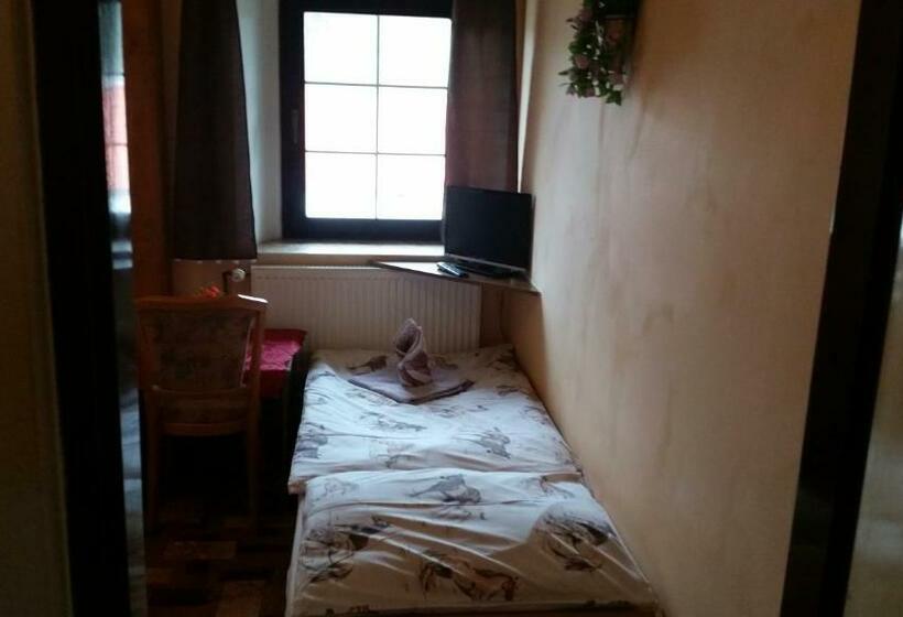 Отель Penzion Pegas Depoltovice