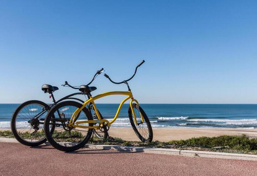 Пансион Homemoel Local Accomodation Al