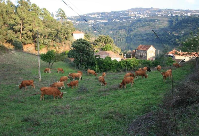 پانسیون Quinta Das Quintas & Spa