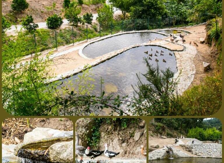 پانسیون Quinta Das Quintas & Spa