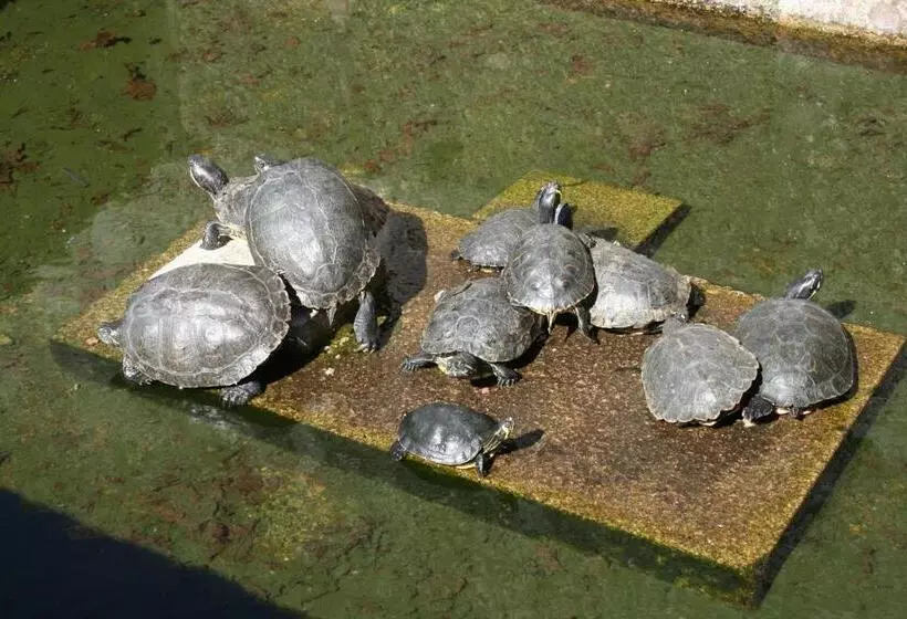 ペンション Quinta Das Quintas & Spa