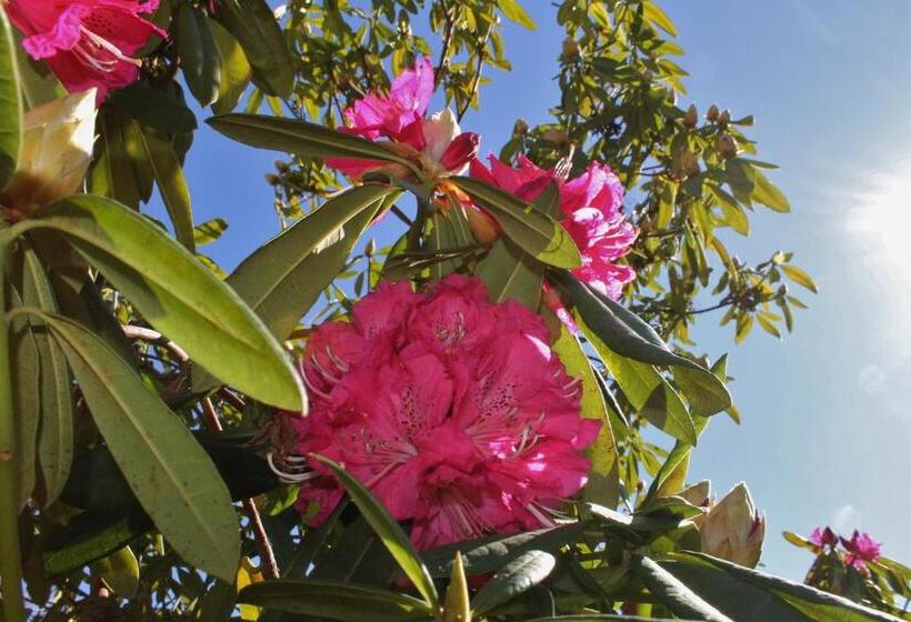 پانسیون Quinta Das Quintas & Spa