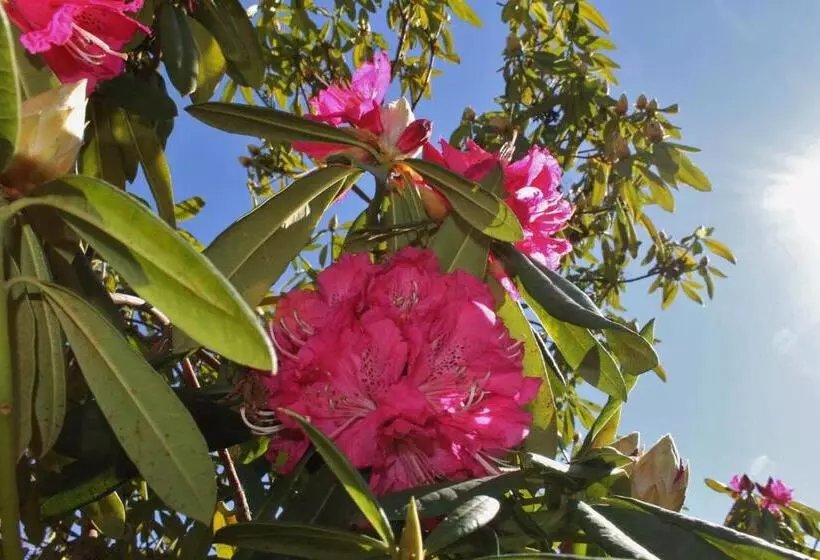 ペンション Quinta Das Quintas & Spa